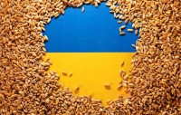 Sáng kiến biển Đen sắp hết hiệu lực, ngũ cốc bị từ chối, Ukraine phải làm việc này với Ba Lan