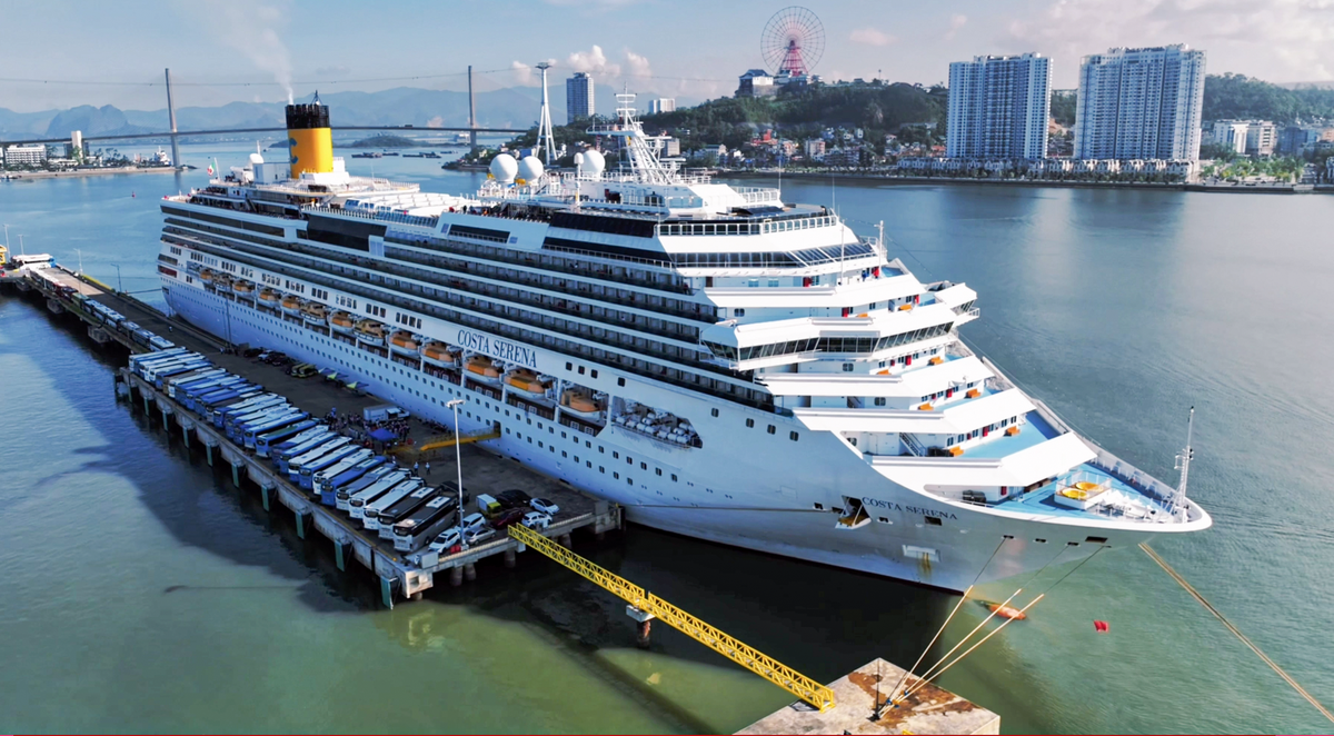 3 000 passagers de Hong Kong à Ha Long à bord d'une croisière 5 étoiles