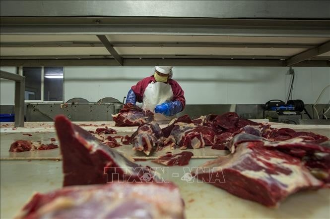 USA nehmen nach 25 Jahren den Import von paraguayischem Rindfleisch wieder auf