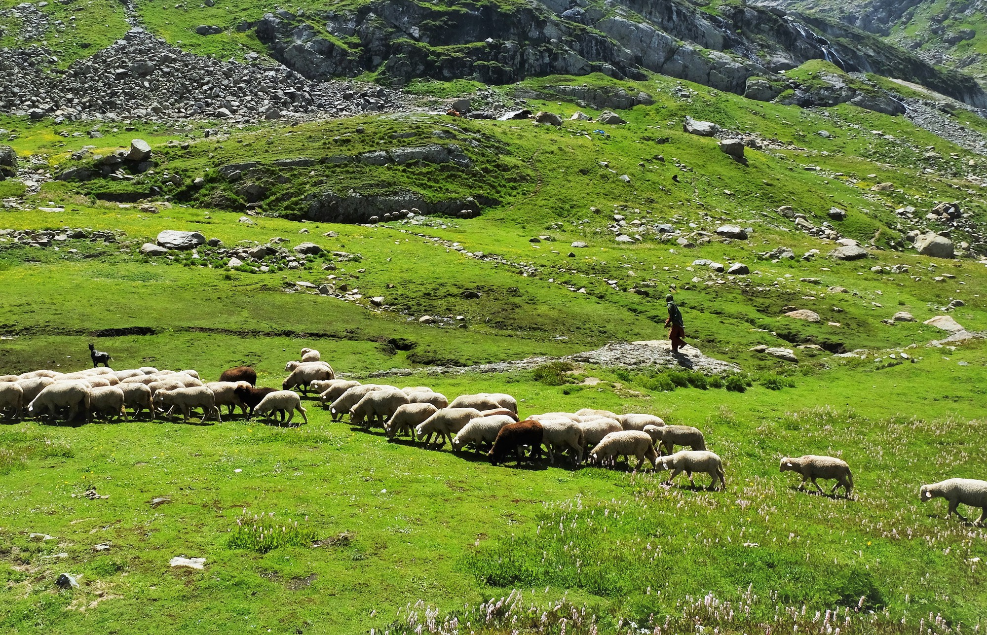 Nữ du khách Việt trong hành trình khám phá 'thiên đường hạ giới' Kashmir  - Ảnh 9.