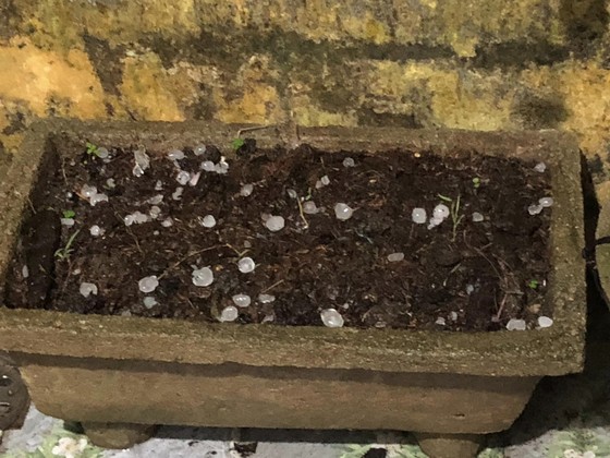 Granizo aparece en Quang Nam tras una severa ola de calor (foto 2)