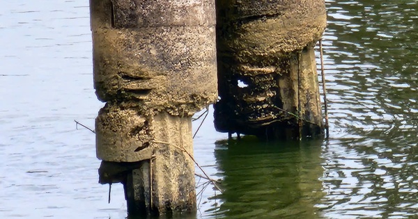 Dozens of "old, weak" bridges in Quang Ngai are still waiting for repair due to... lack of funding.