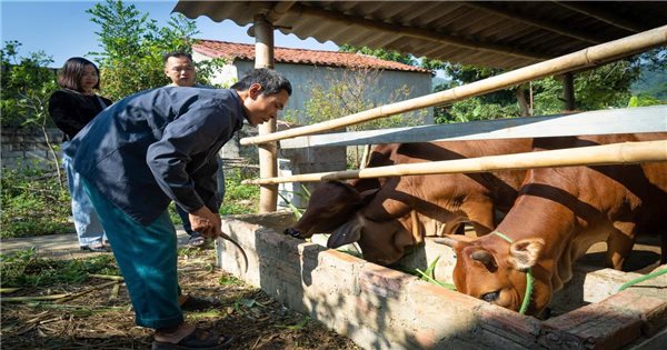 Công tác giảm nghèo huyện Văn Lãng (Lạng Sơn): Đa dạng hóa sinh kế giúp người nghèo tự lực vươn lên (Bài 2)