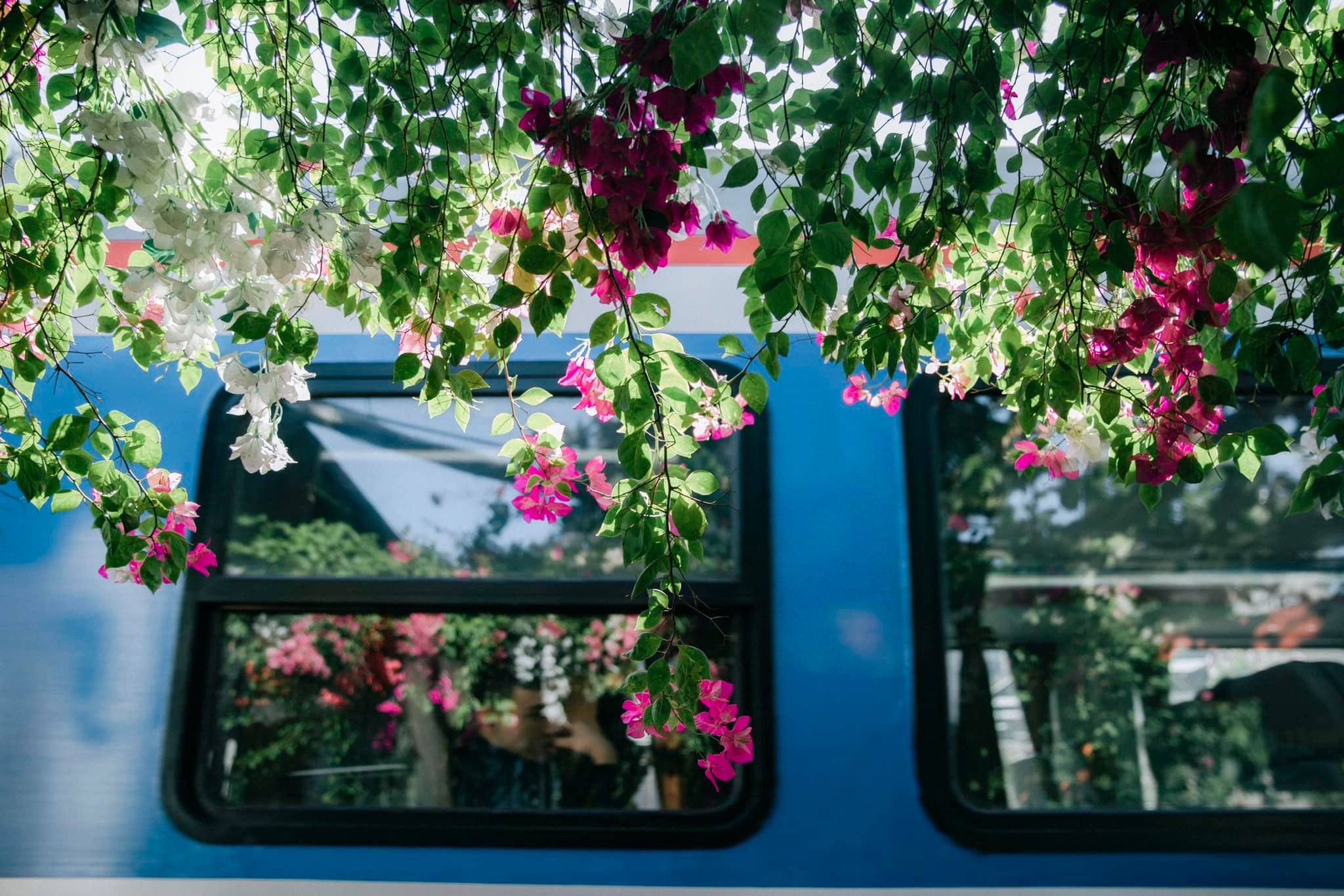 Hanoi - the season of nostalgia