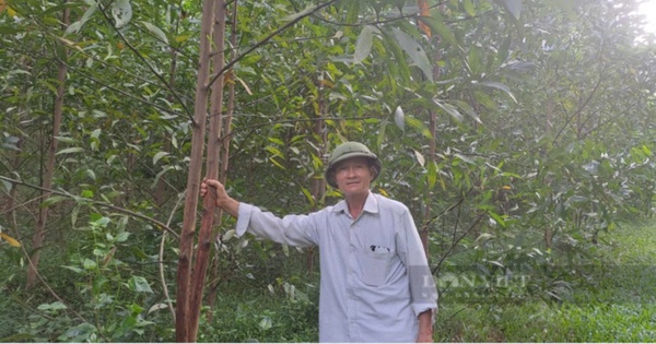 The head of the San Diu ethnic village in Thai Nguyen helps many people have a stable income from making peeled wood.