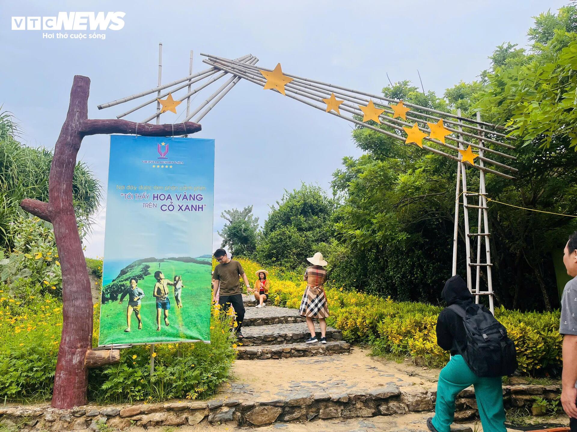 Schauen Sie sich das Set von „Ich sehe gelbe Blumen auf grünem Gras“ in Phu Yen an, bevor Sie einen neuen Look tragen – 1