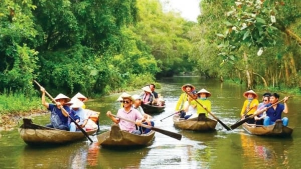 Đến Đồng Tháp, thưởng thức "đặc sản" câu cá, chèo xuồng ngắm sen