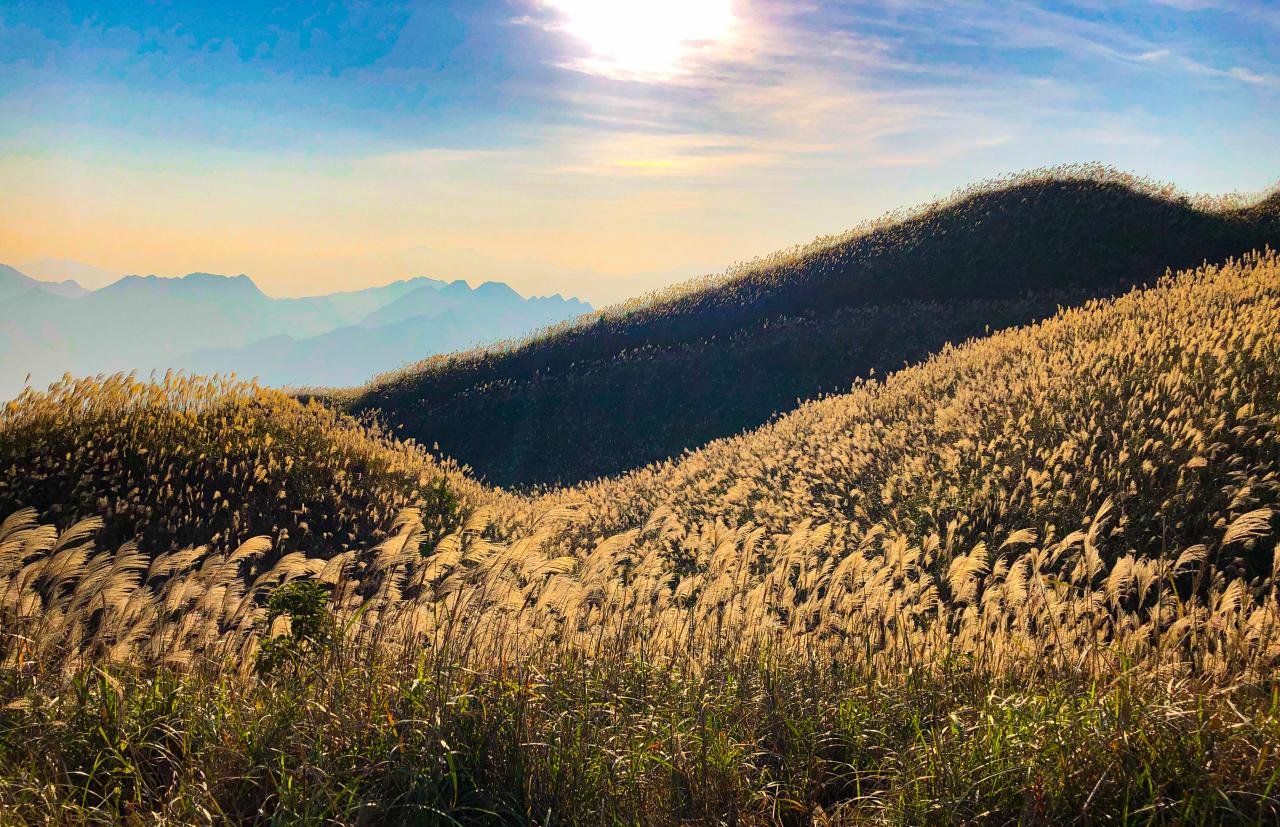 Discover Binh Lieu, Quang Ninh in the reed grass season