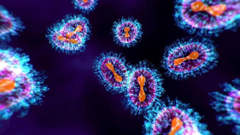Surveillance continue du virus de la pneumonie humaine (HMPV) en Chine -0