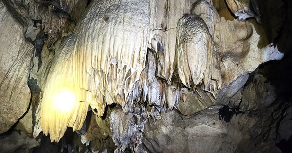 Discovering a beautiful cave in Thanh Hoa