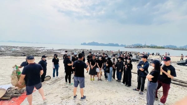 Freiwillige und Einheimische säubern gemeinsam die Stadt Ha Long