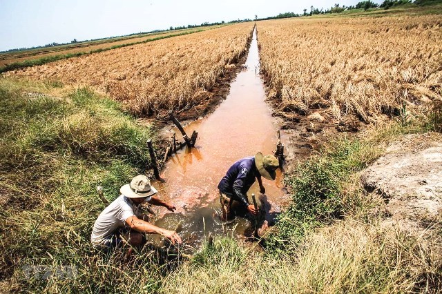  Xâm nhập mặn ở Đồng bằng sông Cửu Long. Ảnh minh hoạ. 