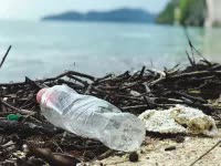 El descubrimiento de un hongo que se alimenta de plástico ayuda a reducir la contaminación ambiental