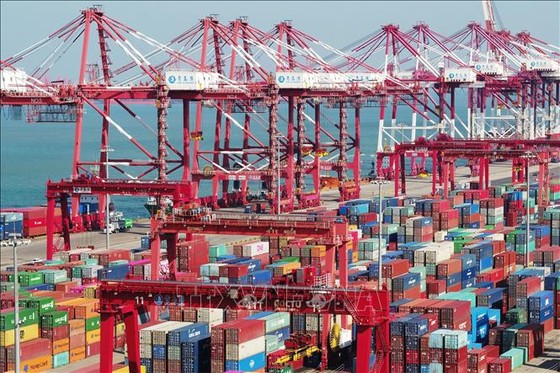 中国東部、山東省青島のコンテナ港。写真：THX/TTXVN