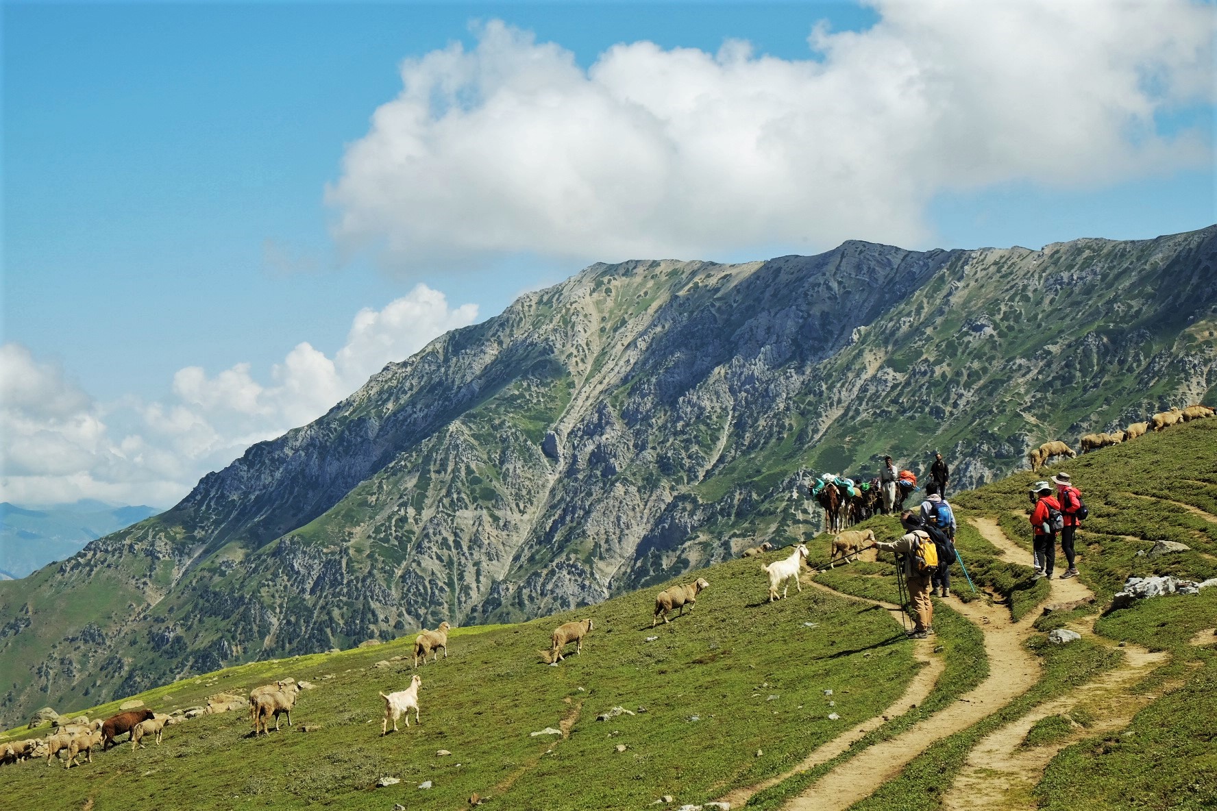 Nữ du khách Việt trong hành trình khám phá 'thiên đường hạ giới' Kashmir  - Ảnh 5.