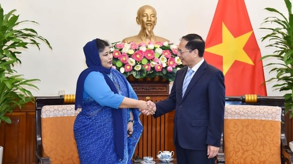 Le ministre des Affaires étrangères Bui Thanh Son a reçu l'ambassadeur du Bangladesh au Vietnam lors de sa dernière visite au Vietnam.