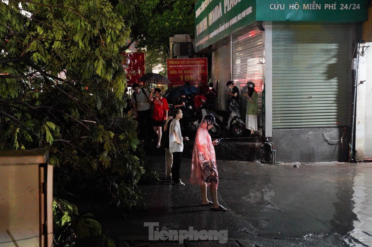 ハノイで大雨​​が降り、一連の木が倒れたり根こそぎにされたりした（写真7）