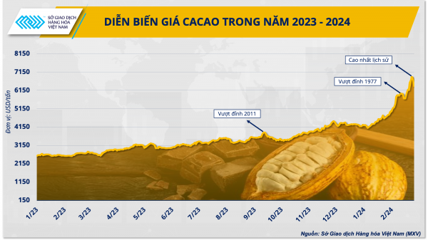 ตลาดโกโก้โลกกำลังสร้างจุดเปลี่ยนใหม่ ยุคใหม่