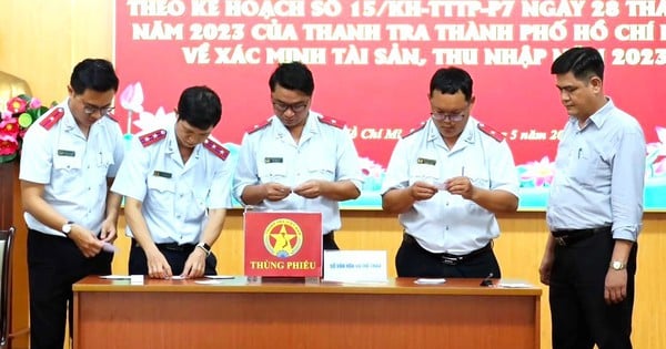 Aufsichtsbehörde für höchste Zusatzeinkommen in Ho-Chi-Minh-Stadt