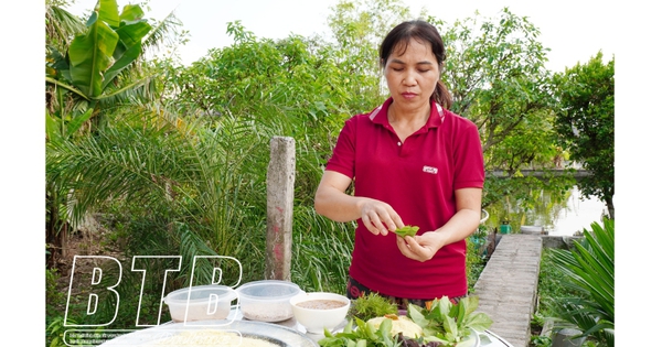 ทุกคนพูดว่าปลาตะเพียนคาว แต่ที่หมู่บ้านไทบิ่ญ ชาวบ้านจับปลาตะเพียนมาทำเป็นสลัดปลาตะเพียน บางคนกินอย่างเอร็ดอร่อย