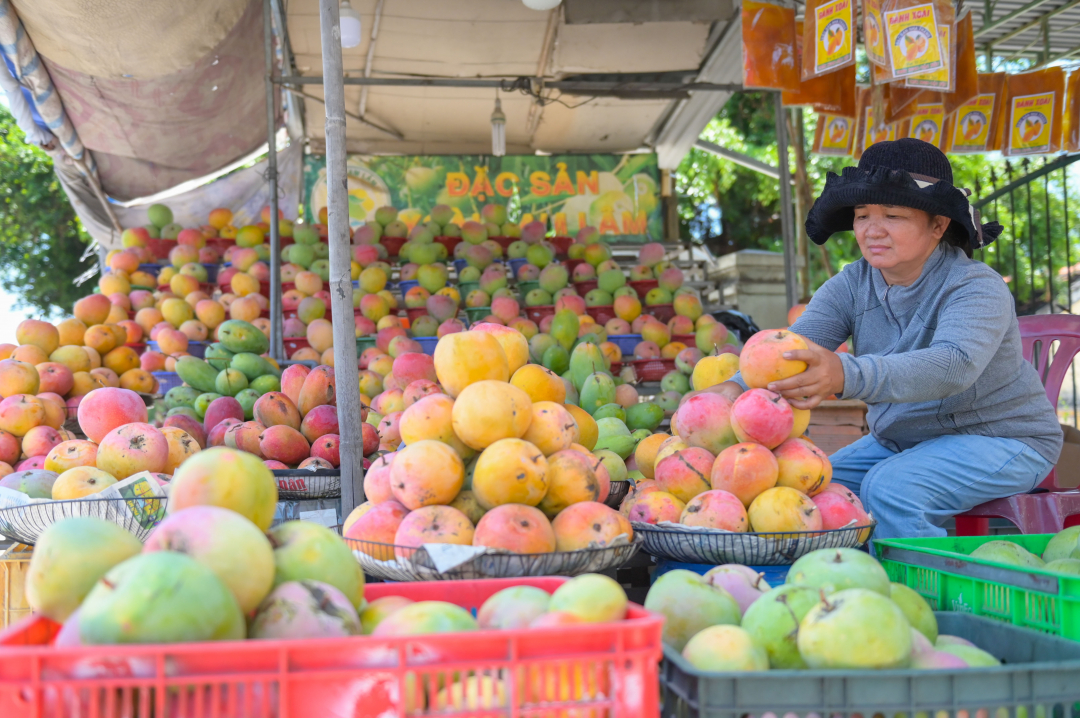 Along National Highway 1 through Cam Duc town, passersby can easily come across colorful and attractive mango stalls.