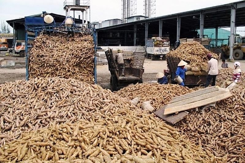 Semaine d'exportation du 11 au 17 mars : le thé classé parmi les 5 premiers au monde, 2 mois de revenus près de 30 millions USD