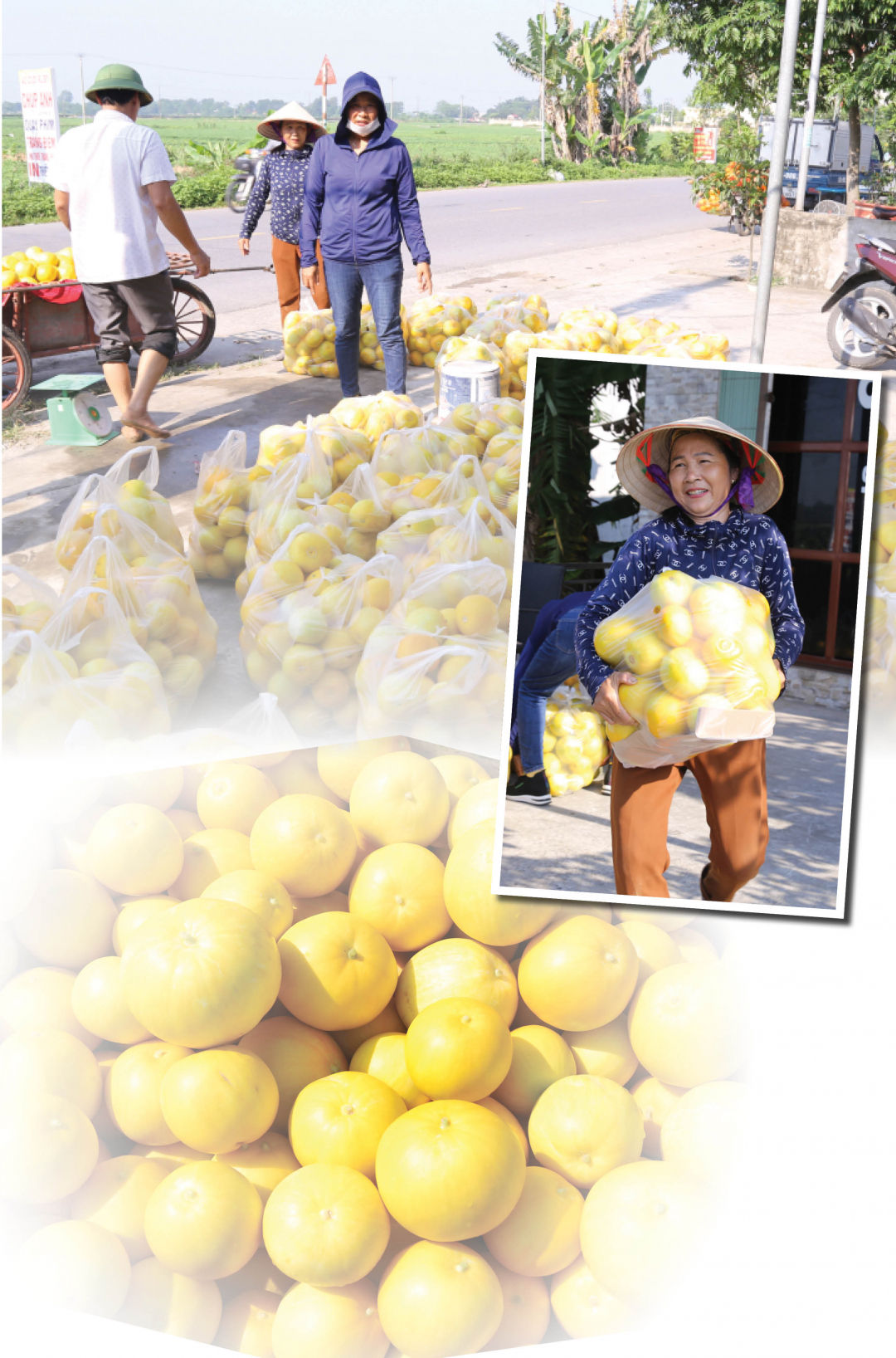 Ambiance d'achat et de vente animée dans les points d'achat de melons.
