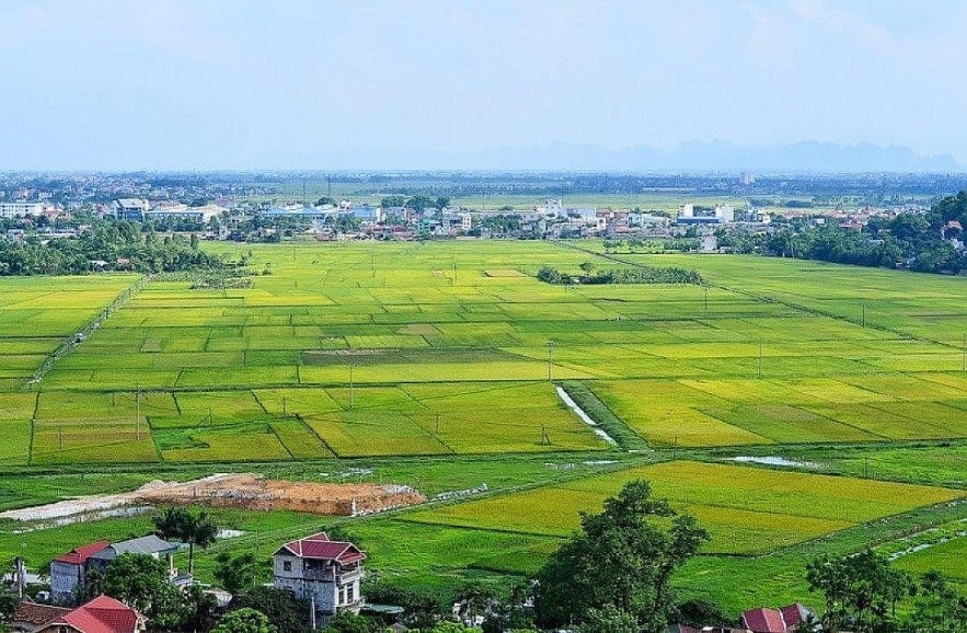 Ho Chi Minh City proposes a series of projects to convert land use purposes into urban areas.