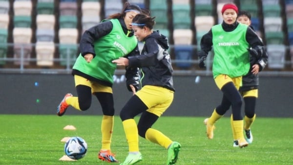 Neuseeländischer Trainer lobt vietnamesisches Frauenteam