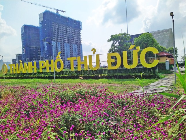 300-year-old An Khanh Communal House 'returns' to Thu Thiem peninsula photo 8