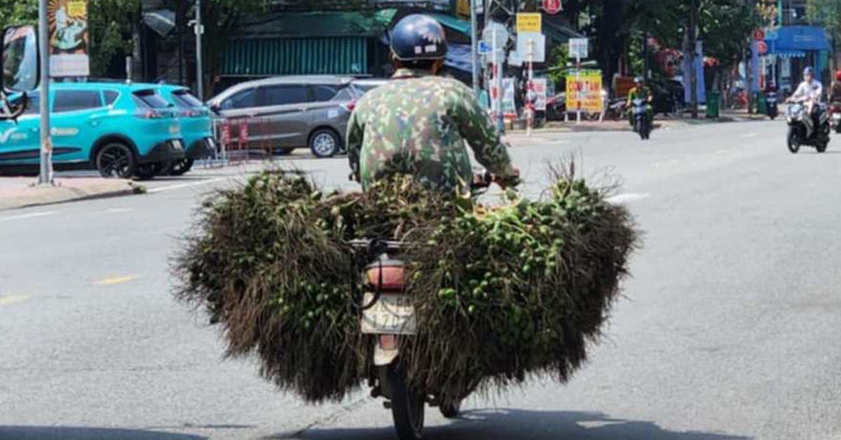 Trung Quốc 'quay xe', giá cau trên đà lao dốc