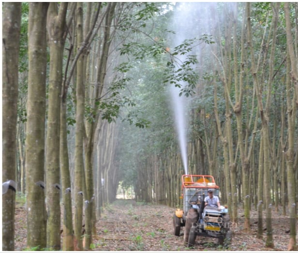 Anh nông dân Bình Phước giỏi sáng chế nhờ… “học lỏm” - Ảnh 5.