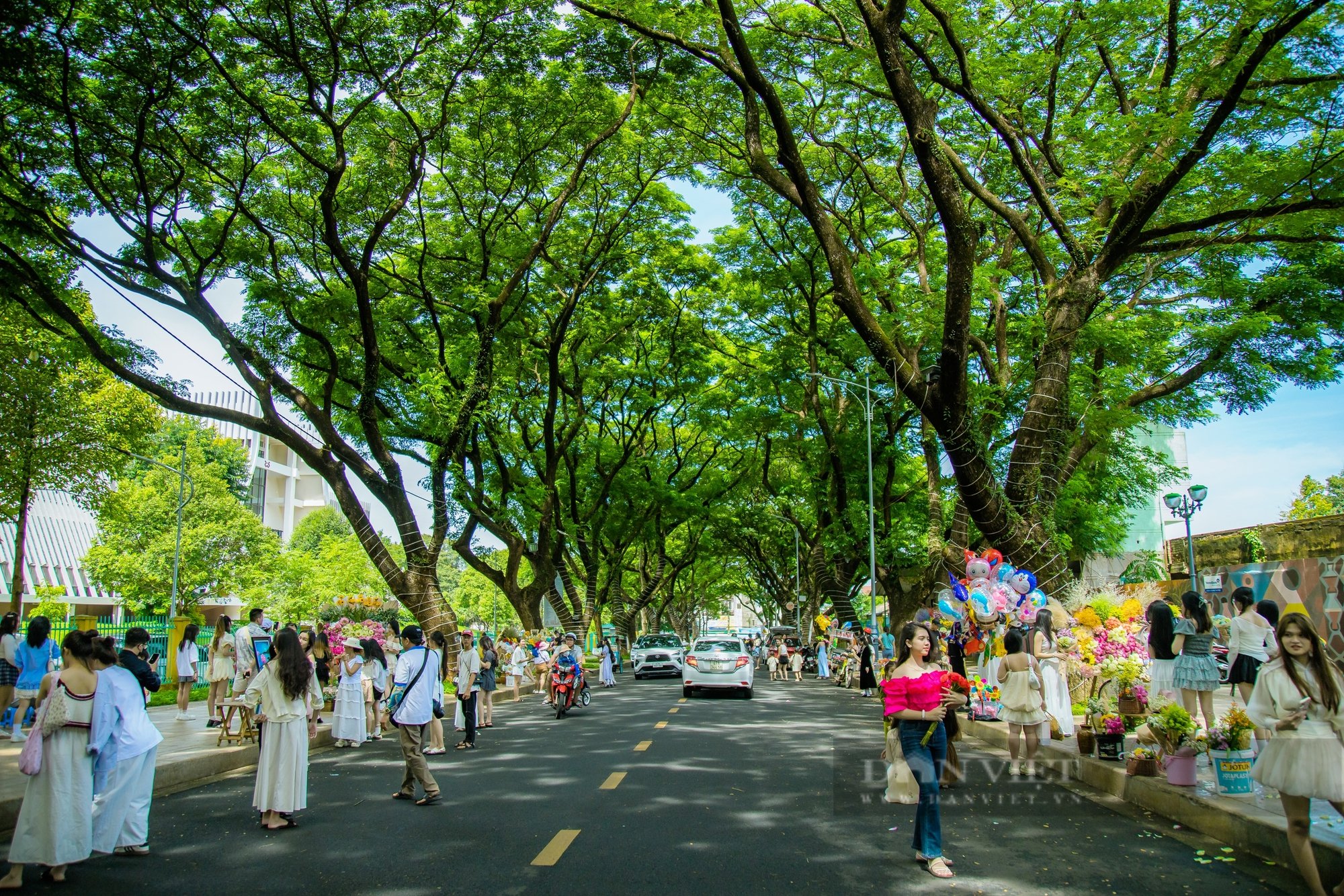 Có một thu Hà Nội giữa lòng Buôn Ma Thuột - Ảnh 1.