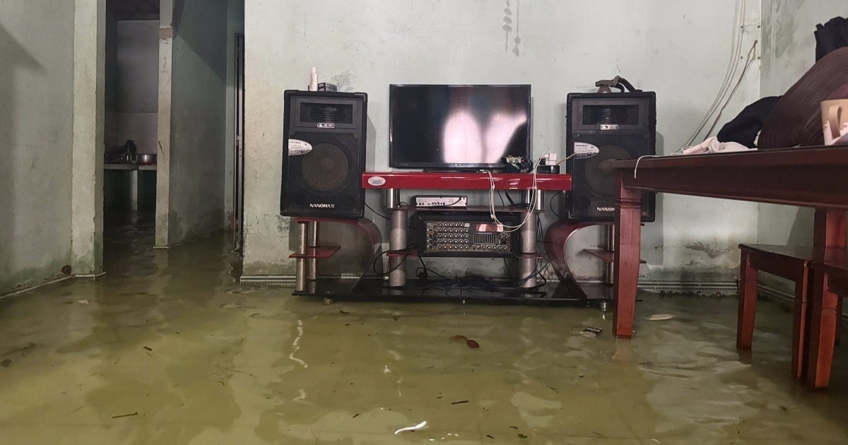 High tide peaks, Ho Chi Minh City and 2 downstream provinces of Dong Nai River at risk of flooding