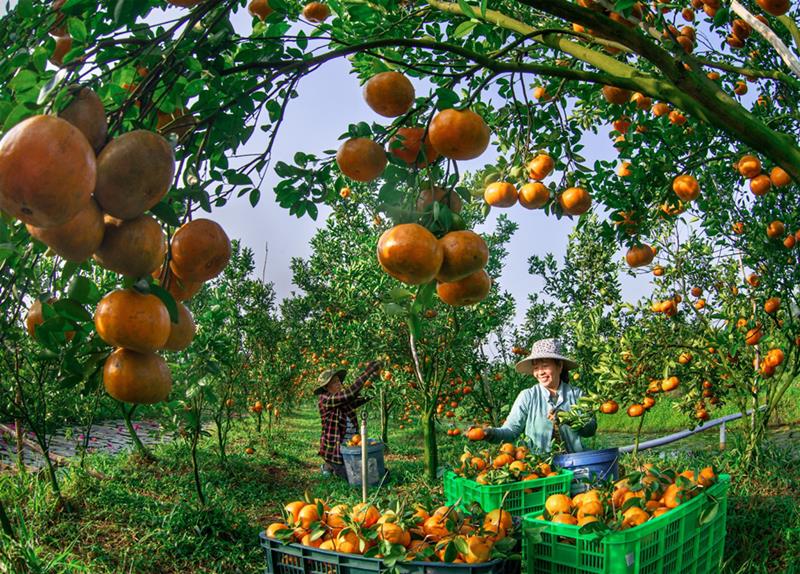 Evento - “Vuela a Vietnam” y una impresionante serie de fotografías en “Happy Vietnam 2023” (Foto 3).