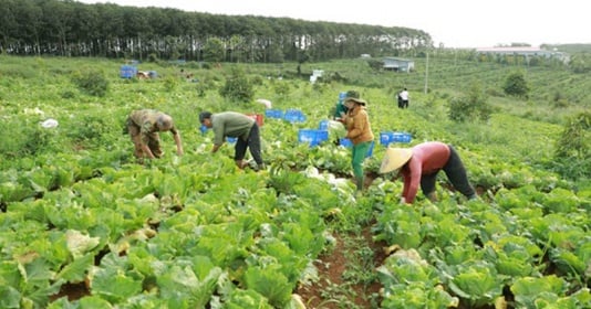 Đắk Nông ưu tiên giảm nghèo cho đồng bào dân tộc thiểu số