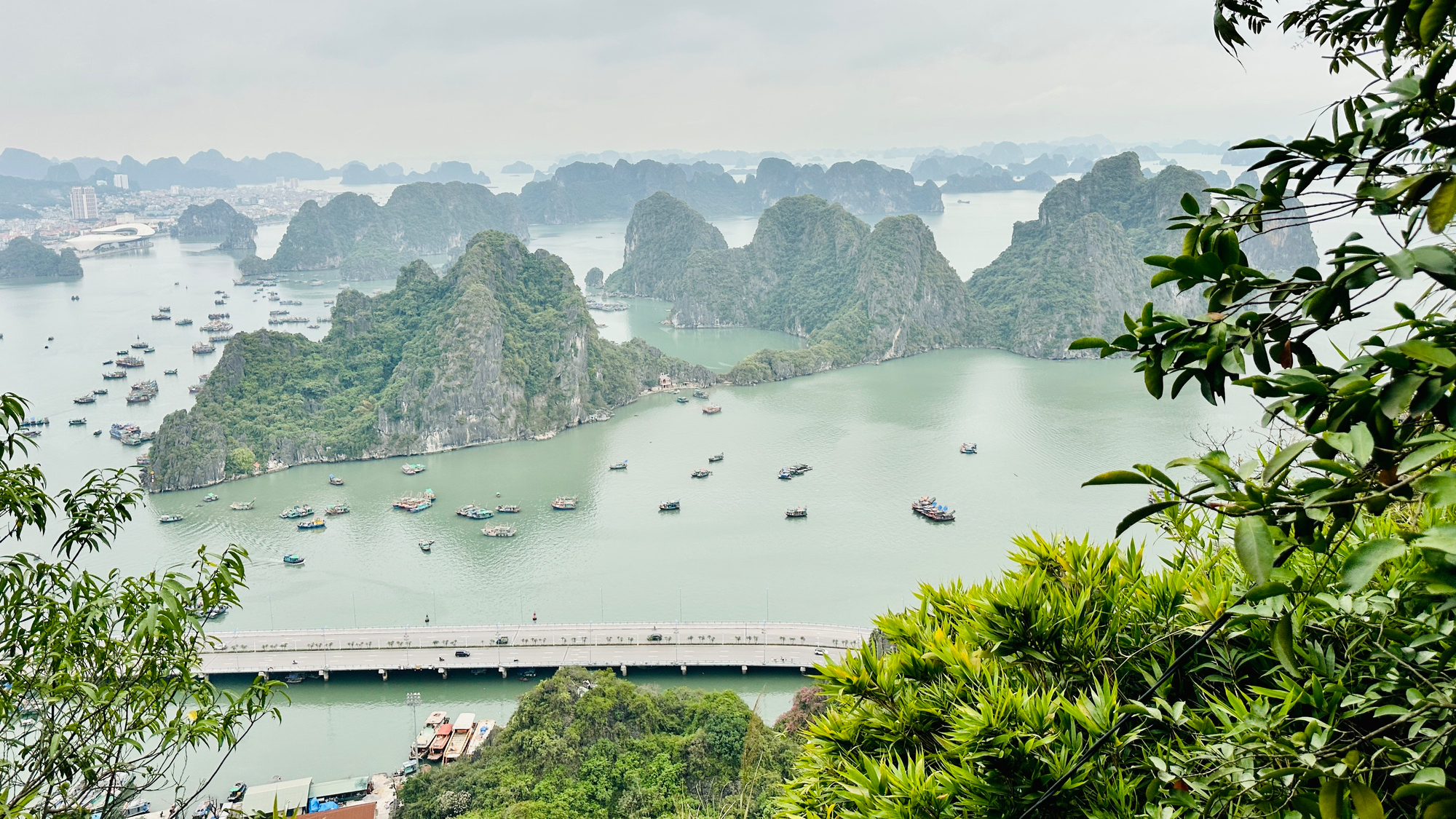 Leo núi Bài Thơ ngắm vịnh Hạ Long độc lạ nhưng nhiều rủi ro - Ảnh 13.