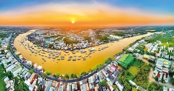 The key to the "downward spiral" of the Mekong Delta economy