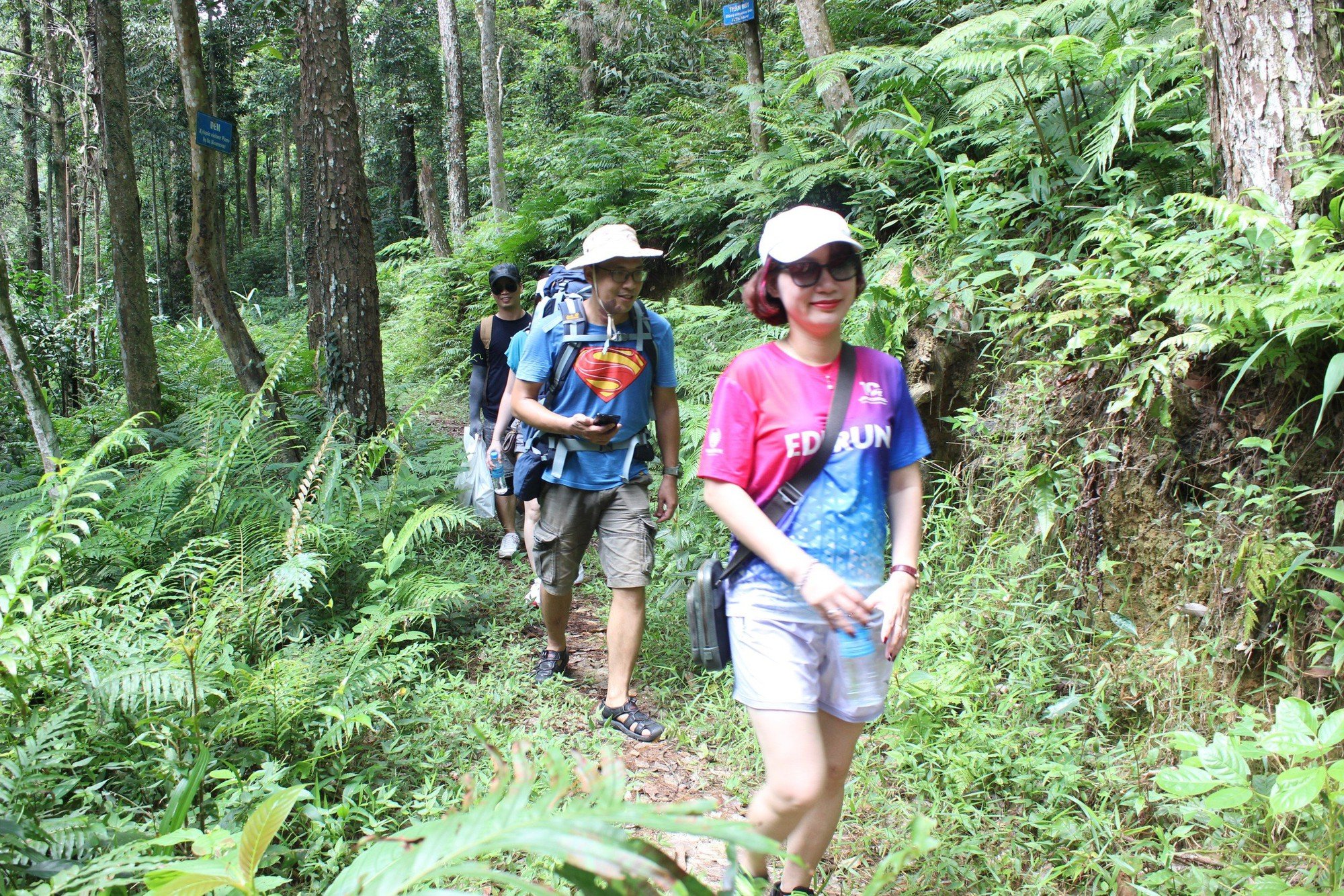 Vô khu rừng Tam Đảo phía Vĩnh Phúc, cách Hà Nội 70km thấy con động vật hoang dã mặt đỏ như tô son- Ảnh 2.