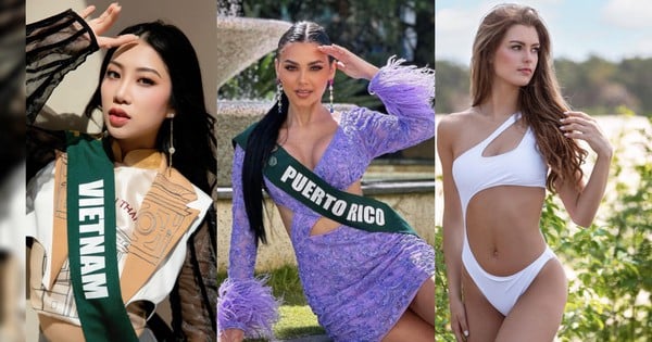 5 ứng viên sáng giá nhất tại chung kết Miss Earth 2023