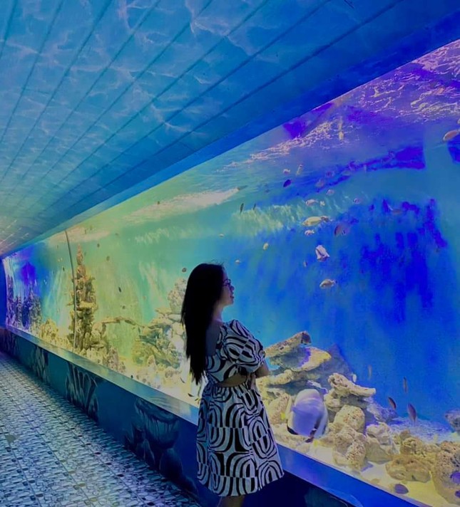 Gen Zと一緒にニャチャン水族館を探検しよう：『ファインディング・ニモ』のように魔法のような体験！ - 2
