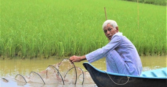 Kien Giang develops 7,000 hectares of organic farming