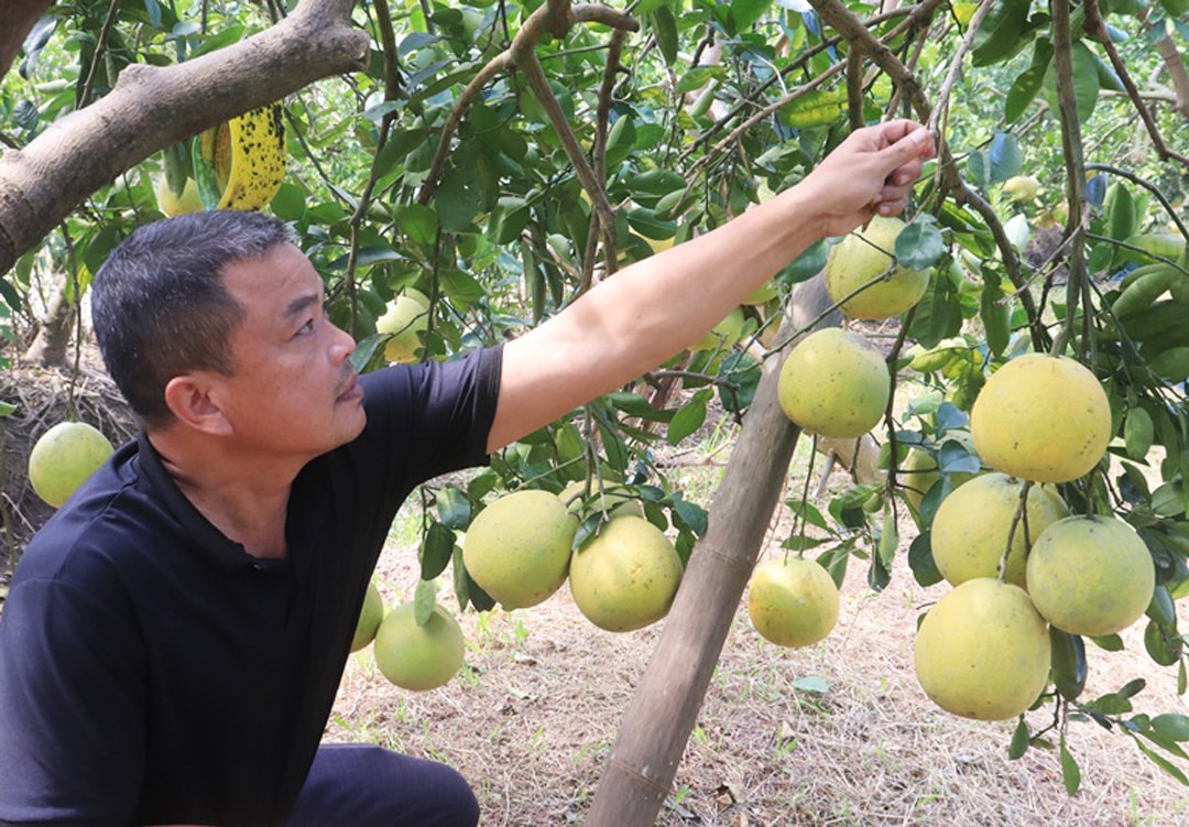 Đánh thức lợi thế, nhân giá trị sản phẩm