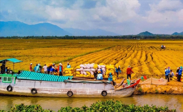 សន្និសីទផ្សព្វផ្សាយពាណិជ្ជកម្មបើកឱកាសសម្រាប់អាជីវកម្មនៅតំបន់ដីសណ្តទន្លេមេគង្គ