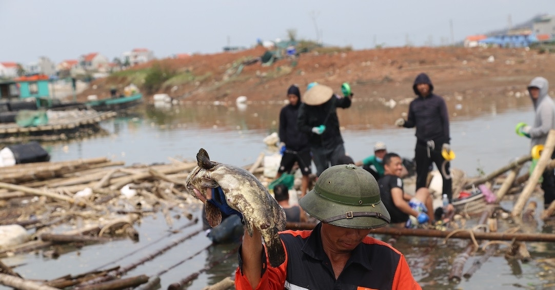 ពាន់ពាន់លានត្រូវបានបោកបក់ដោយព្យុះ តើការធានារ៉ាប់រងកសិកម្មនៅឯណា?