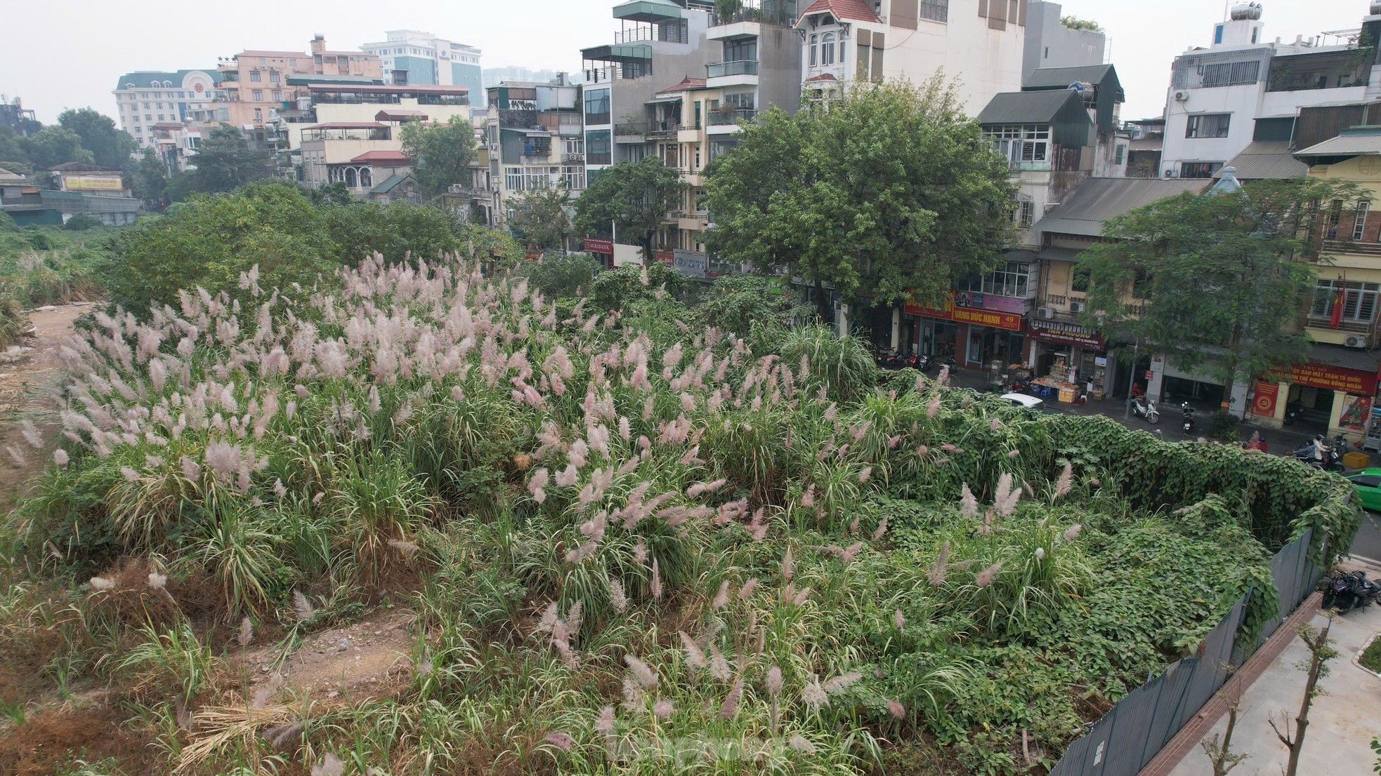 Nahaufnahme von 3 „Golden Land“-Projekten, deren Entfernung der Vorsitzende der Stadt Hanoi gerade angeordnet hat. Foto 10