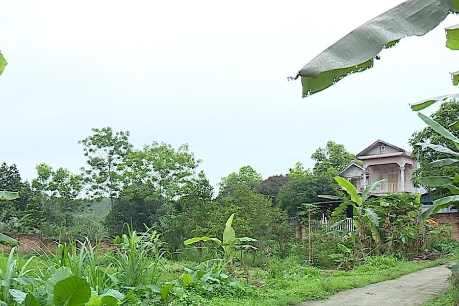 산림 계획 및 관리의 많은 단점