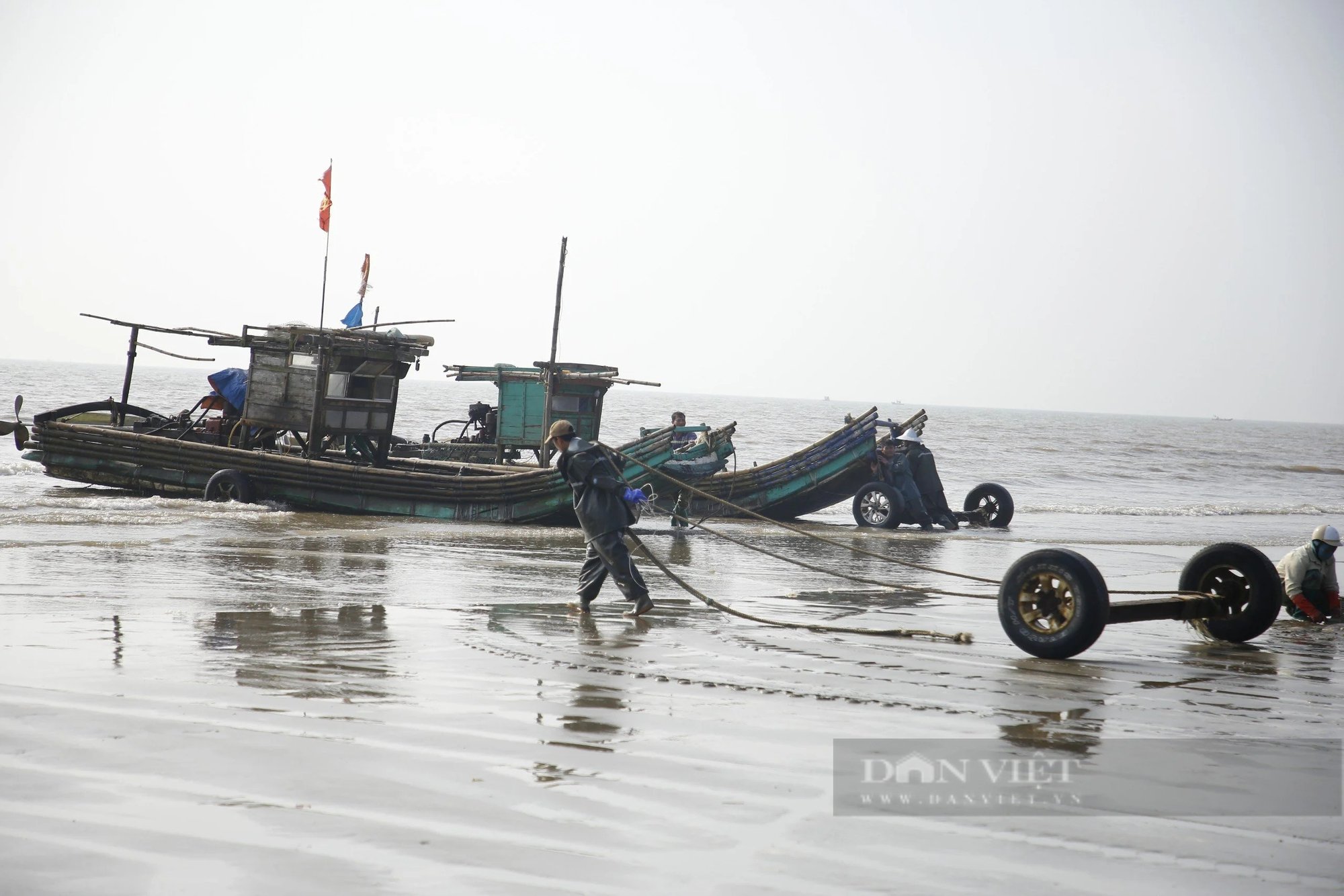 Tháng Giêng là tháng ăn chơi, nhưng ở một nơi của Thanh Hóa là tháng gỡ cá trích mỏi tay- Ảnh 9.