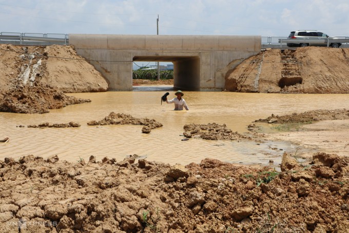 El paso subterráneo de la autopista Vinh Hao - Phan Thiet, en el barrio de Lam Hoa, ciudad de Ma Lam (distrito de Ham Thuan Bac, provincia de Binh Thuan), se inundó. El señor Pham Quang Thanh, de 57 años, un agricultor local, tuvo que caminar con el agua hasta el pecho para poder trabajar en los campos de su familia. Foto: Viet Quoc