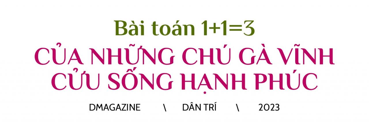 Thạc sĩ Harvard từ bỏ lương 100 triệu/tháng: Rác là mỏ vàng của tôi - 21
